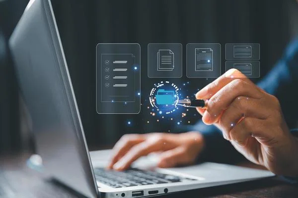 Professional SEO services by WWW Rankings